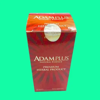 Adam Plus