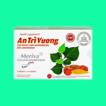 An Trĩ Vương