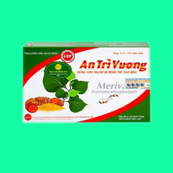 An Trĩ Vương