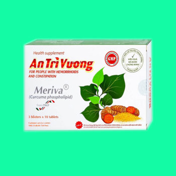 An Trĩ Vương