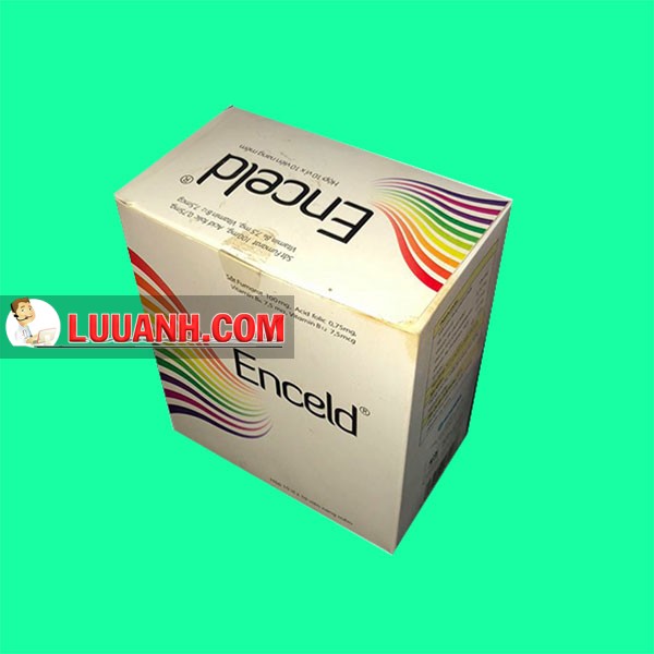 enceld_gia_bao_nhieu enceld