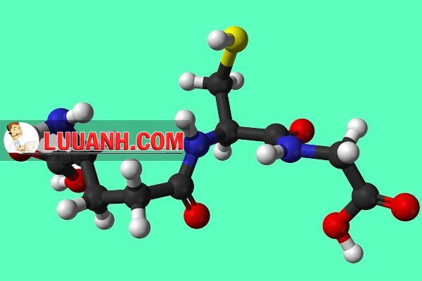 Mô hình công thức hóa học của glutathione
