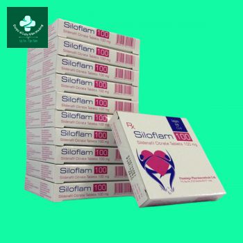 Siloflam 100 2 siloflam 100 2