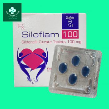 Siloflam 100 3 siloflam 100 3