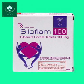Siloflam 100 6 siloflam 100 6