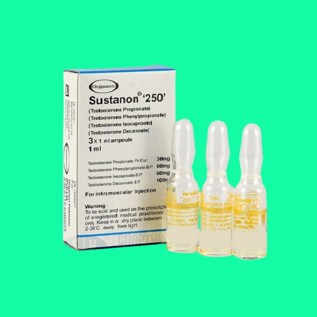 sustanon-250-5 Sustanon 250
