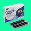 Cerevit Fort 4 Cerevit Fort có tác dụng gì?
