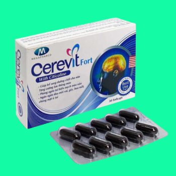 Cerevit Fort có tác dụng gì?