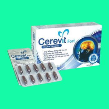 Cerevit Fort có tác dụng gì?