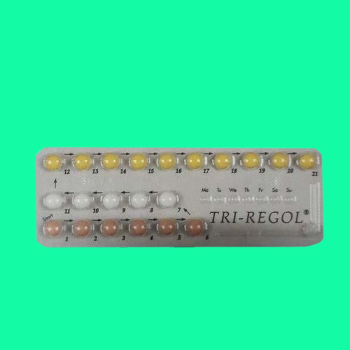 Tri Regol (5) Tri Regol