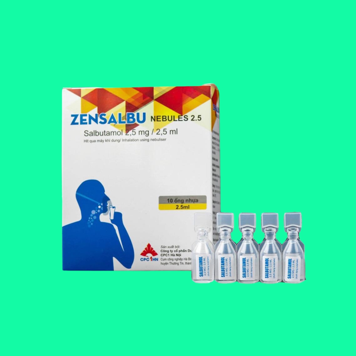 Zensalbu-1 Zensalbu
