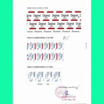 Deginal 10 Thuốc đặt Deginal