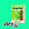 thuốc Ampelop