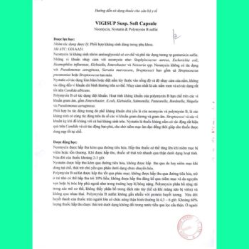 Vigisup 14 Thuốc Vigisup