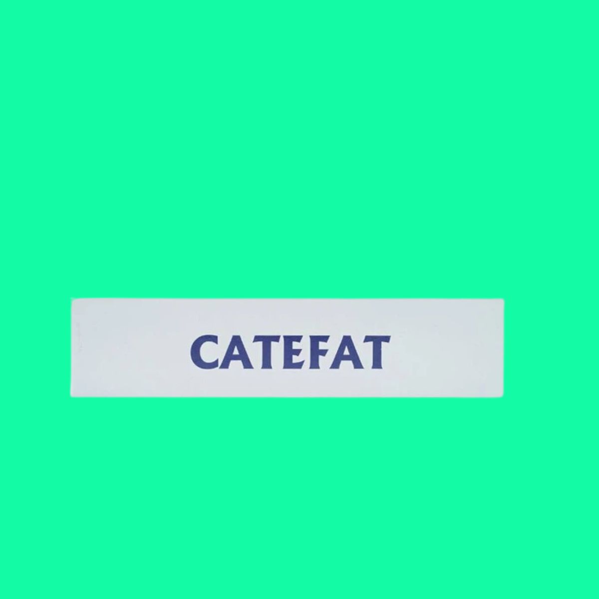 Catefat (4) Catefat