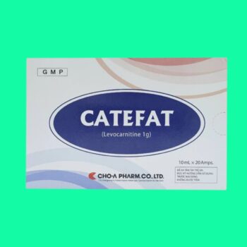 Catefat 4 Catefat