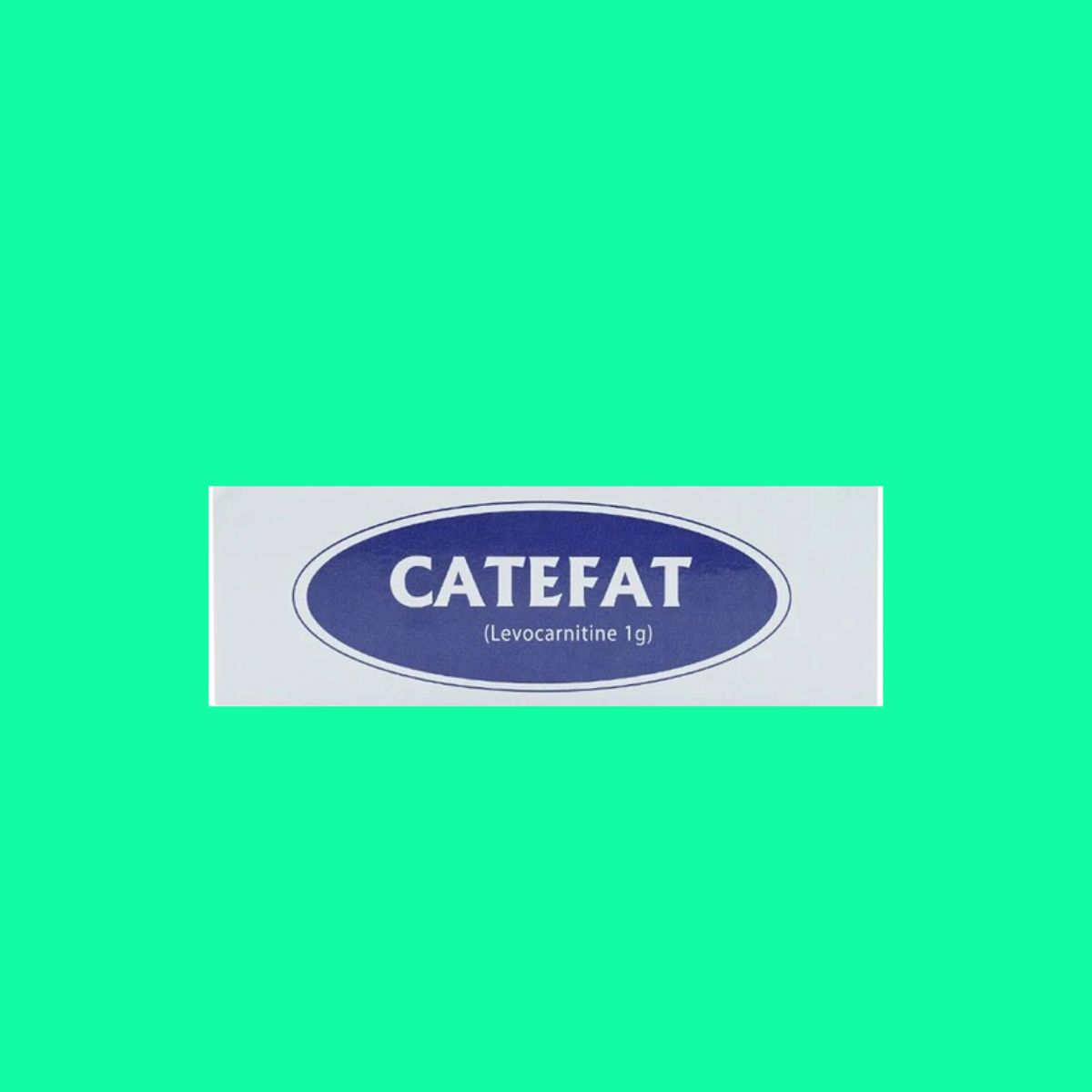 Catefat (6) Catefat
