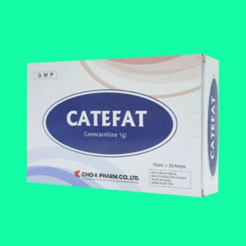 Catefat 8 Catefat