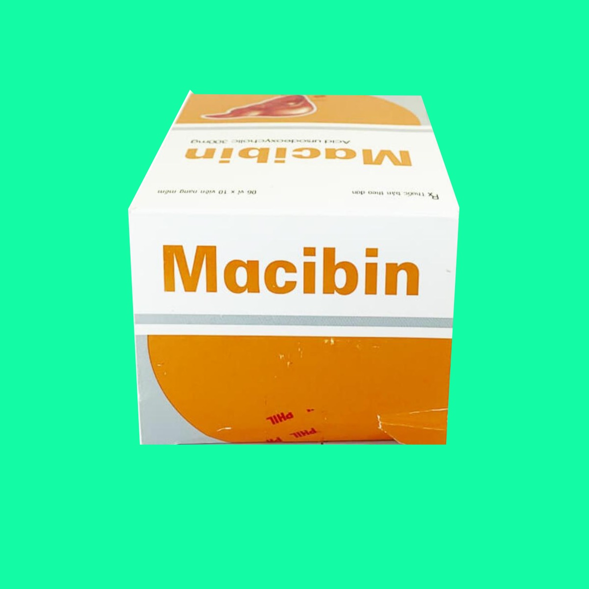 Macibin (5) Macibin