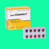 Pms-Cedipect (