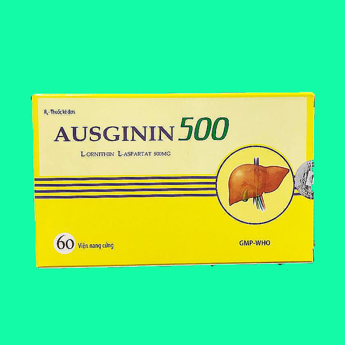 ausginin-500-2 Ausginin 500