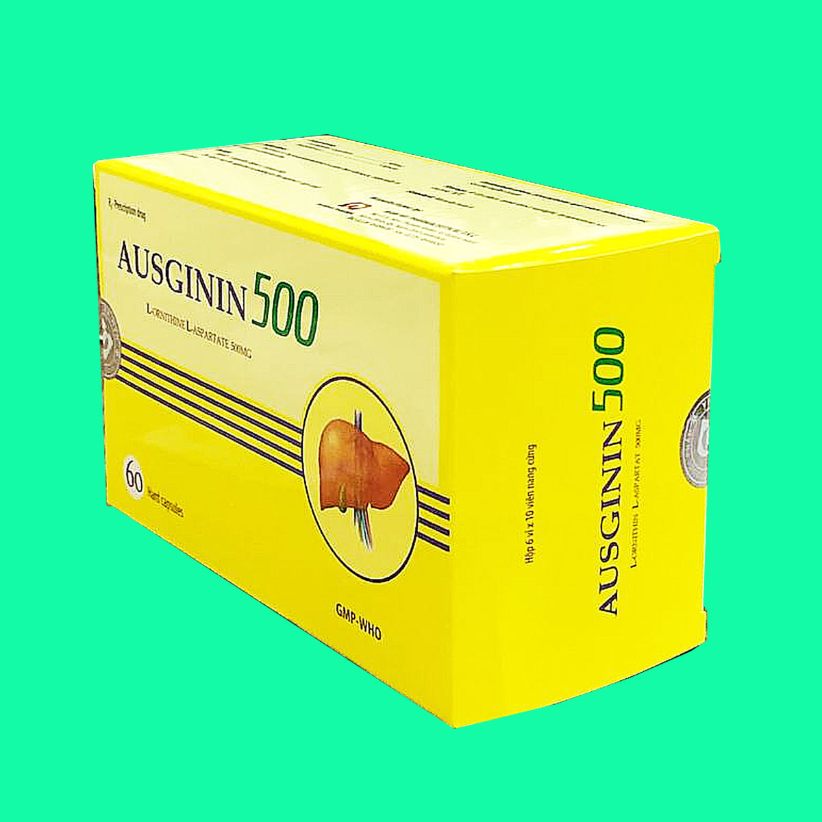 ausginin-500-3 Ausginin 500