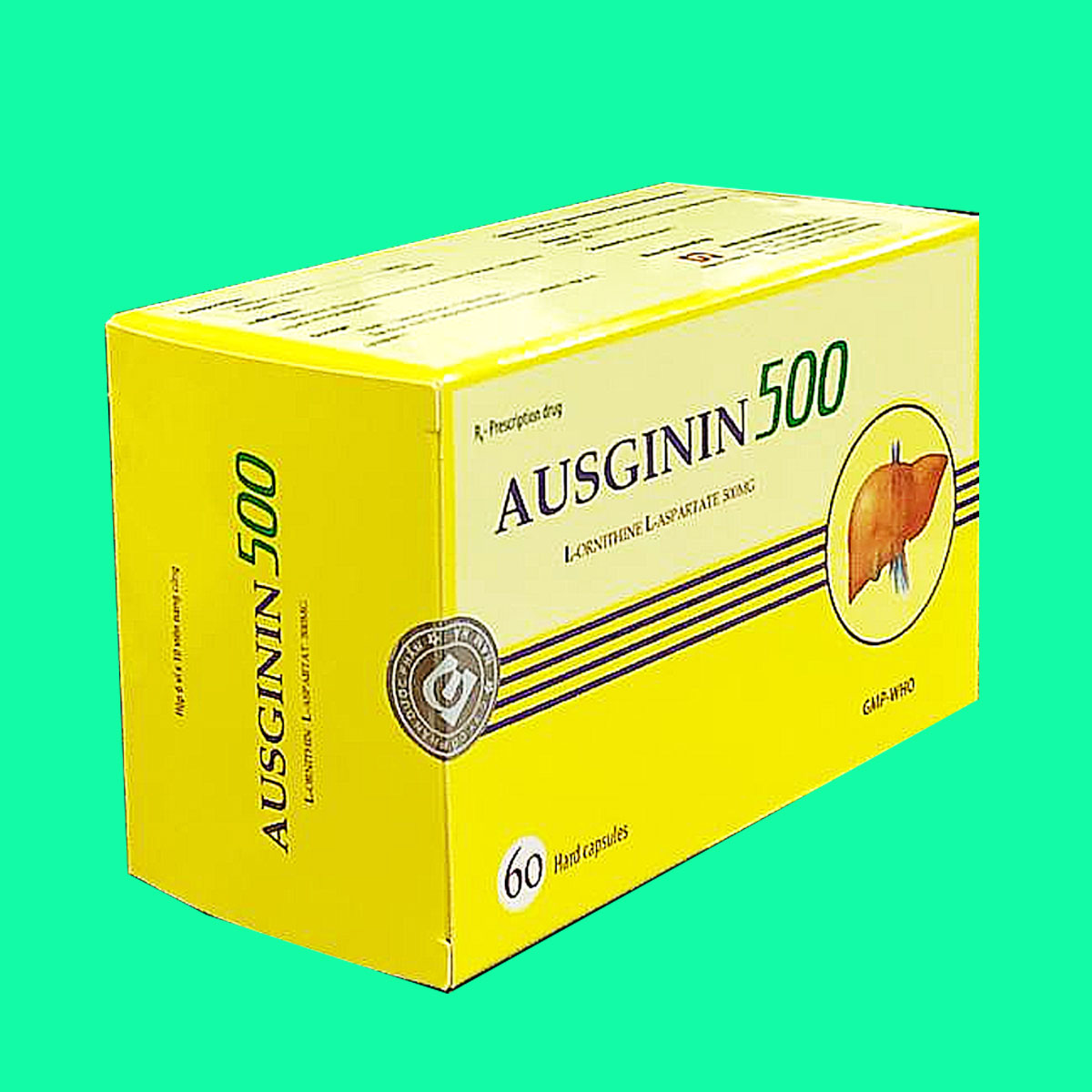 ausginin-500-4 Ausginin 500
