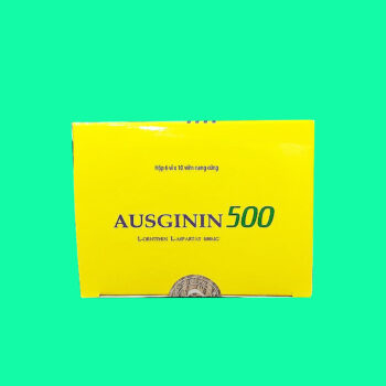 Ausginin 500 4 Ausginin 500