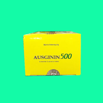 Ausginin 500