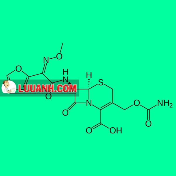 Thuốc Cefuroxime