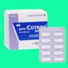 Thuốc Pms-Cotrim 960mg có tác dụng gì?