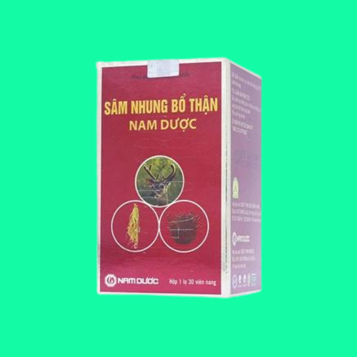 Sam nhung bo than Nam Duoc - 1 Sâm Nhung Bổ Thận Nam Dược
