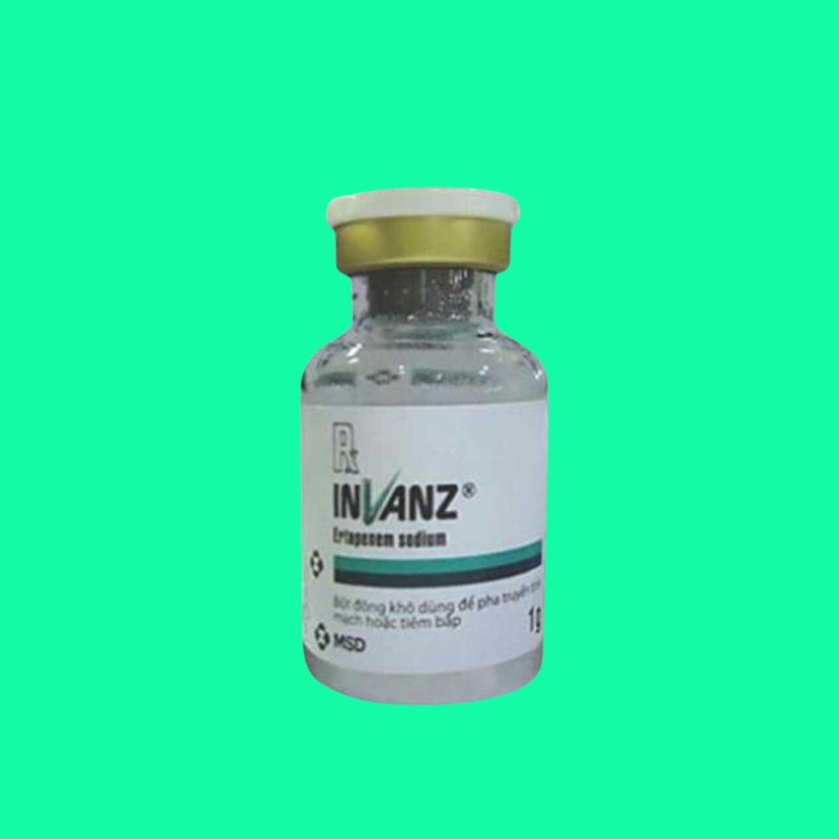 Invanz (4) Invanz