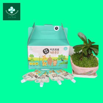 Hồng Sâm Baby Solife 6 Hồng sâm baby solite