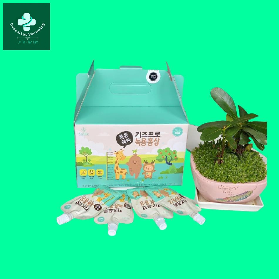 Hồng-sâm-baby-solite Hồng sâm baby solite
