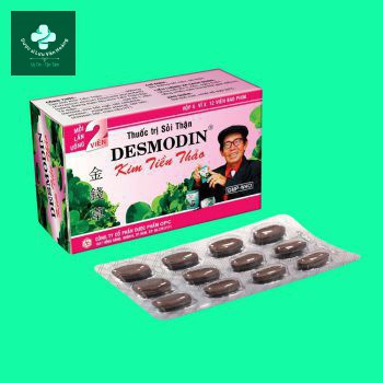 Thuốc Desmodin Kim Tiền Thảo