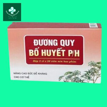duong quy bo huyet ph 2