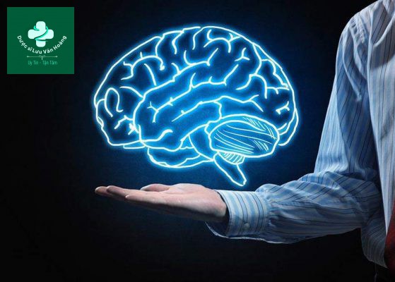 hoạt huyết dưỡng não