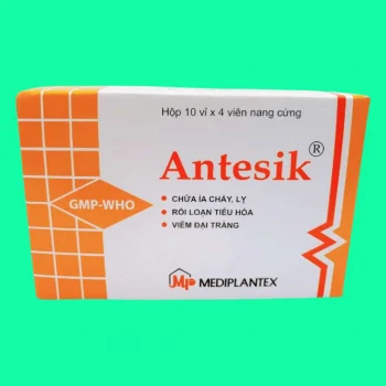 antesik 10