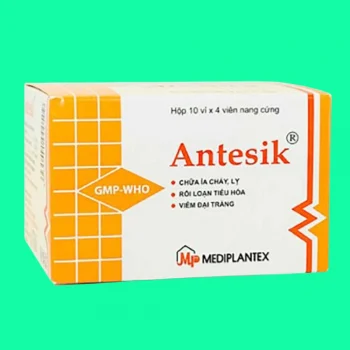 antesik 2