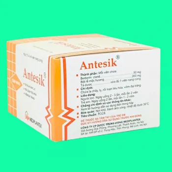 antesik 5