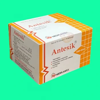 antesik 6