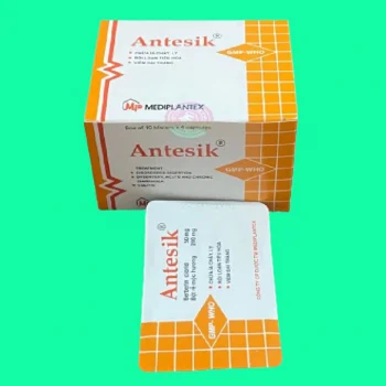 antesik 7