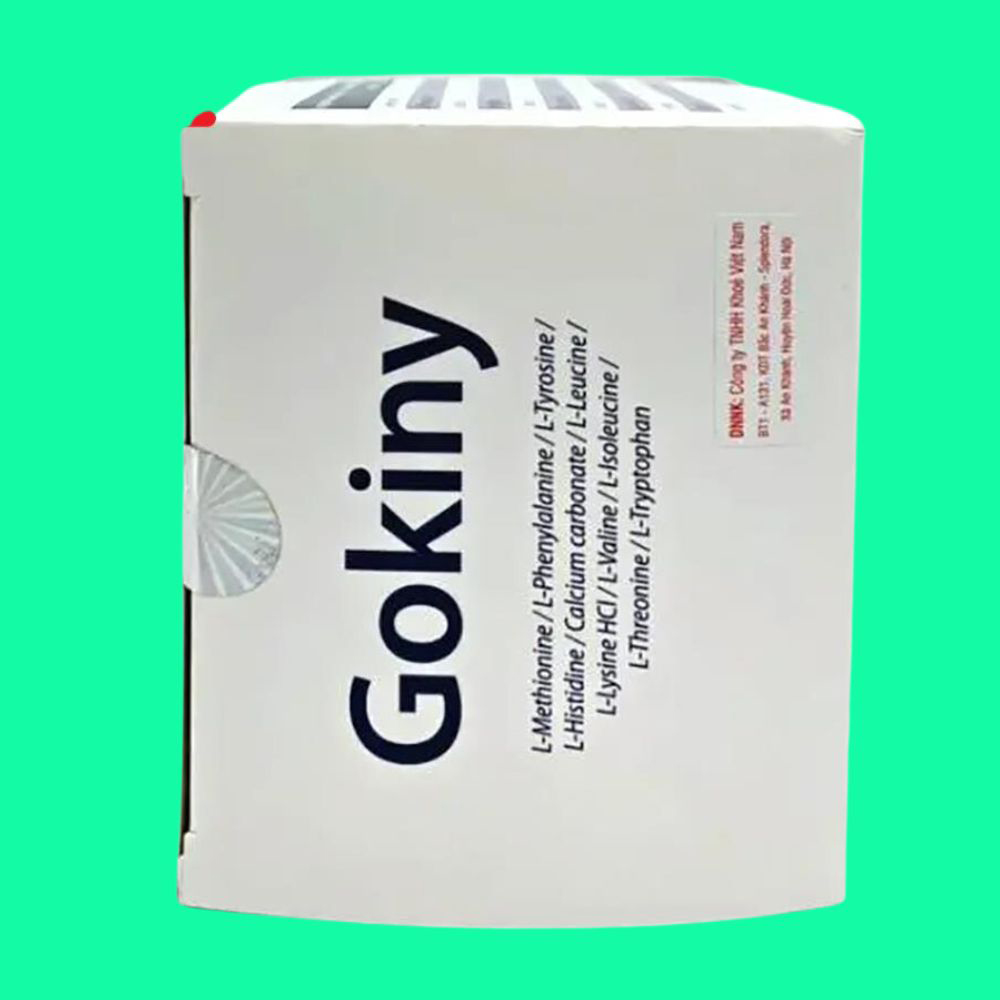 gokiny-22 gokiny 22