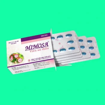 Mimosa Viên An Thần 1 mimosa 13