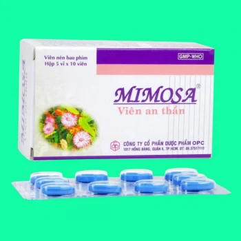 Mimosa Viên An Thần 12 mimosa 2