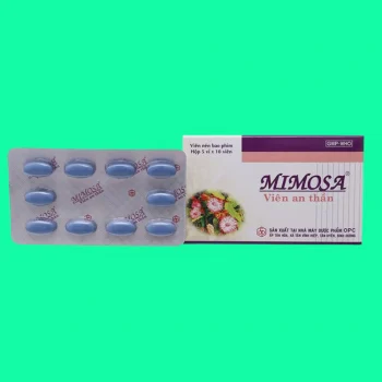 Mimosa Viên An Thần 11 mimosa 3