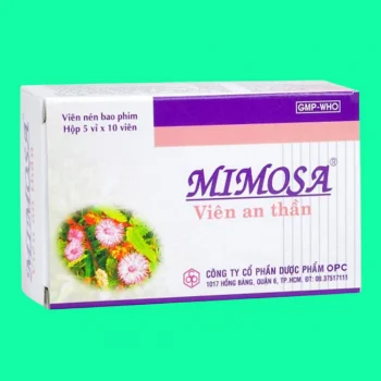 Mimosa Viên An Thần 8 mimosa 6