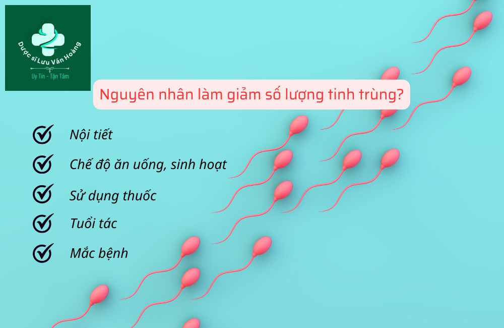 Nguyên nhân làm giảm số lượng tinh trùng