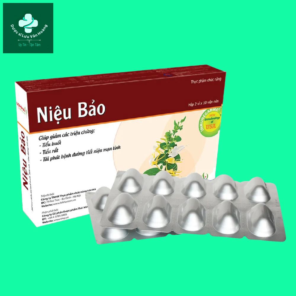 Thiết kế chưa có tên - 1 nieu bao 7
